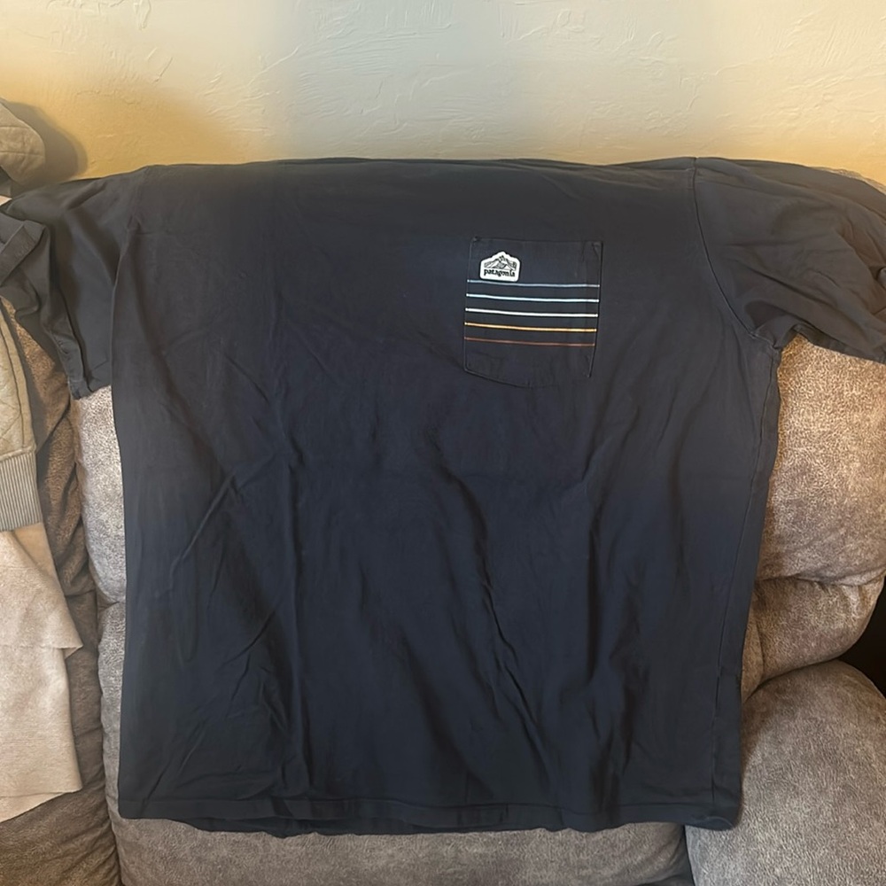 Patagonia Large Organic T-Shirt